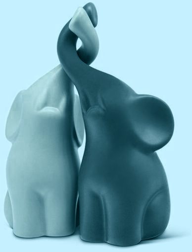 b1